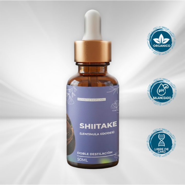 Shiitake Extracto de Doble Destilación