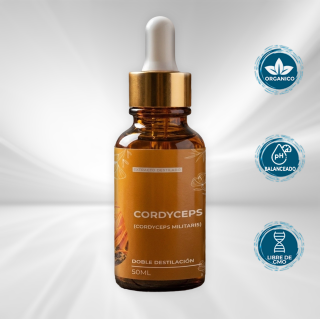 Cordyceps Extracto de Doble Destilación