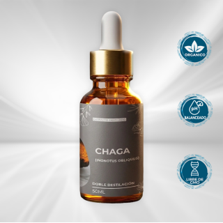 Chaga Extracto de Doble Destilación